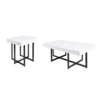 Granala Contemporary Steel 2-Piece Storage Coffee Table Set by Furniture of America