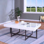 Granala Contemporary Steel 2-Piece Storage Coffee Table Set by Furniture of America