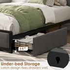 Bed Frame with 2 Storage Drawers and Charging Station